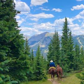 Seeking Solace on Horseback: Riding Keeps Me Sane During Pandemic